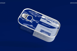 Фирменный стиль для Aurora Borealis