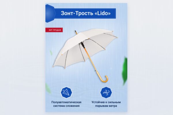 img4236234.png