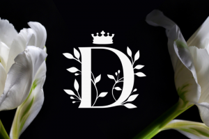 Айдентика | SD