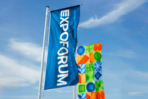 Айдентика | Экспофорум