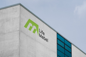 Айдентика "Аврора Бореалис"