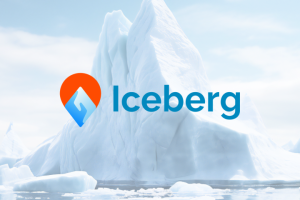 Айдентика "Iceberg"