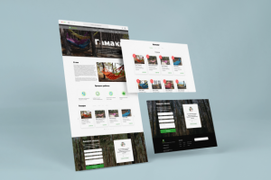 Дизайн лендинга по продаже гамаков