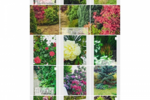 Инста-дизайн пресеты+графика