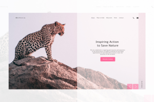 Первый экран лэндинга с Wow эффектом