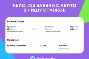 Ниша промышленного оборудования: 723 контакта на Авито за месяц