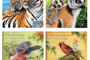 Работа 3481253