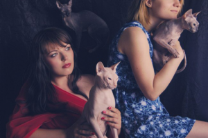 Работа 3481294