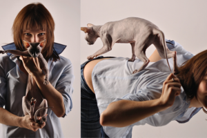 Работа 3481292