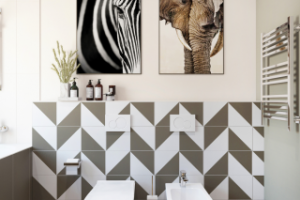 Солнечное сафари