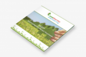 Буклет Ecothermo engineering