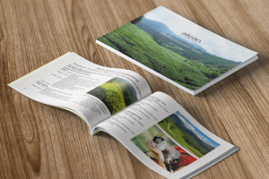 Работа 3979493