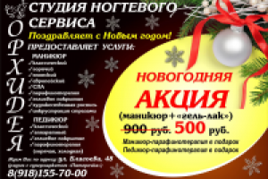 Флаер_новогодняя акция