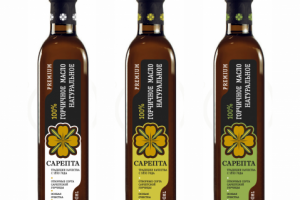 Работа 3155669