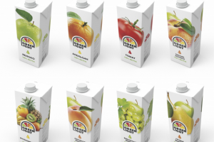 Работа 3155667