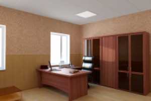 Кабинет директора