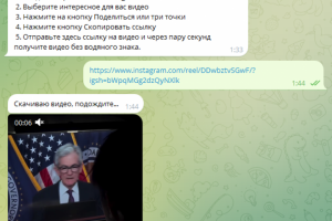 Чат-бот Free_Reels