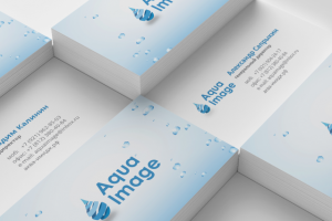 Логотип и базовый фирменный стиль Aqua Image