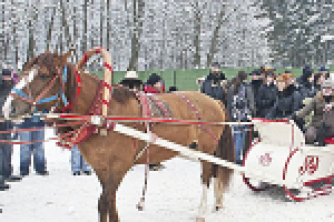Масленица в усадьбе Середниково
