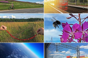 Фотосъемка на iPhone / Мобилография / Фотоблогер