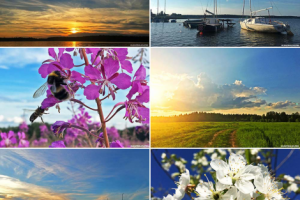 Фотосъемка на iPhone / Мобилография / Фотоблогер