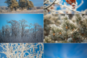 Зимний пейзаж