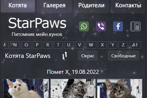 img3525620.png