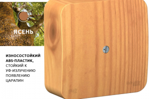 Коробка бланка