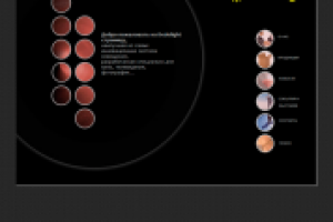 Росс/представительство компании Dedolight