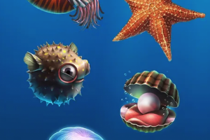 Иллюстрации