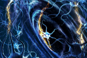 Обложка для книги