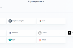 Страница оплаты на Vue принимающая параметры заказа из Опенкарт