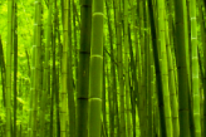 Адаптивная верстка, работа с движком "для ВС"