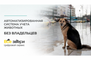 Поиск животного