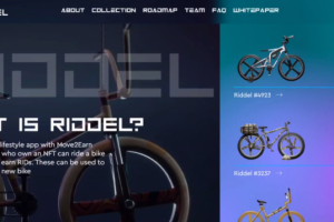 Play2earn проект Riddel