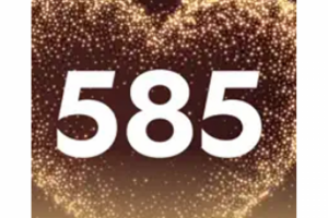ПО анализа данных для ювелирной сети 585