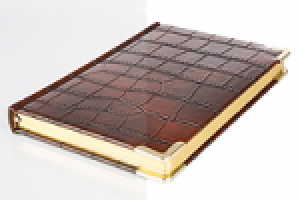 Обтравка ежедневника