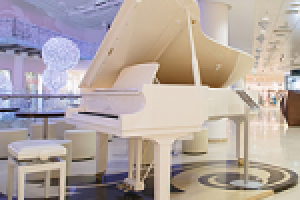 Брюллов: фотосъемка звукового оборудования (7 фото)