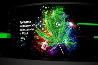 img3776233.png