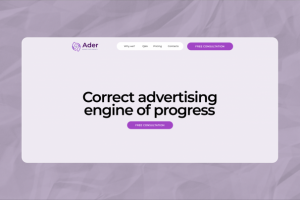 Лендинг для смм агентства в Америке