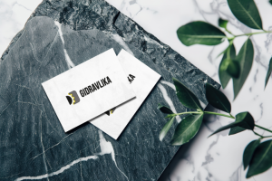 Логотип для "ГИДРАВЛИКА" - Екатеринбург