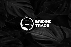 Bridge Trade - Москва