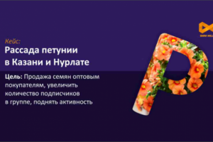 Кейс: запуск рекламы на группу по продаже рассады петунии