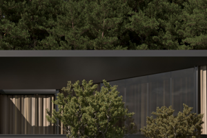 Частный дом