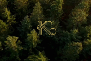 Логотип Королевский кедр - строительство