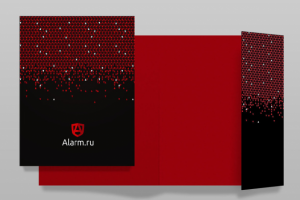 Фирменный стиль компании Alarm