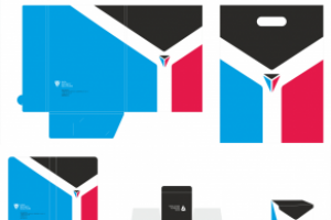 Фирменный стиль DSS