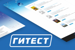 Сайт под ключ ПИНИБ "ГИТЕСТ"