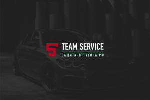 5TeamService