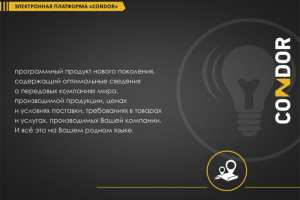 Инфографика "Condor"